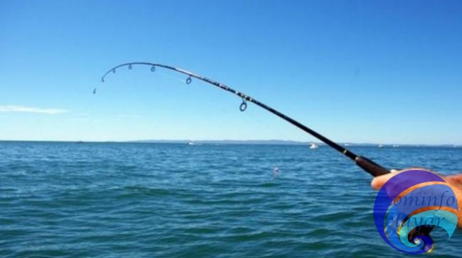 Kabar Gembira Bagi para Mancing Mania, Lomba Mancing Kembali Diselenggarakan untuk Meramaikan Festival Takabonerate 2022
