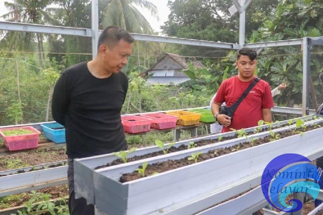 Bupati Kepulauan Selayar Tinjau Demplot KRPL Kelompok Wanita Tani di Bontotangnga