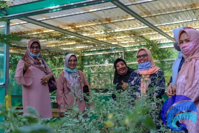Pjs. Ketua TP. PKK Selayar Tinjau KWT Desa Patilereng