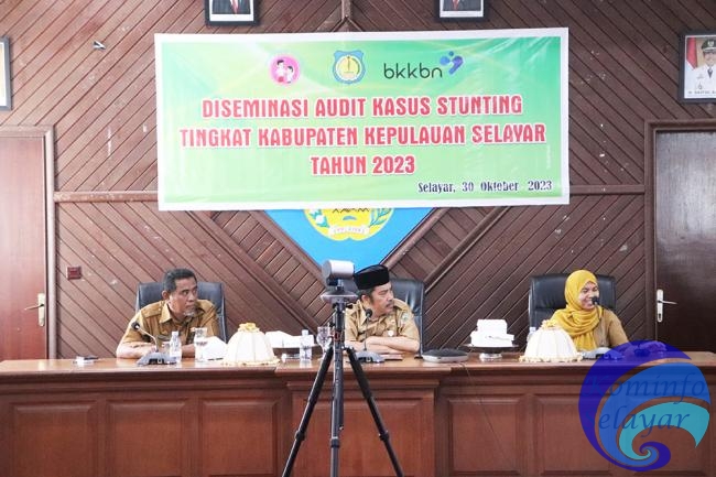Pemkab Selayar Diseminasi Audit Kasus Stunting Tahap I