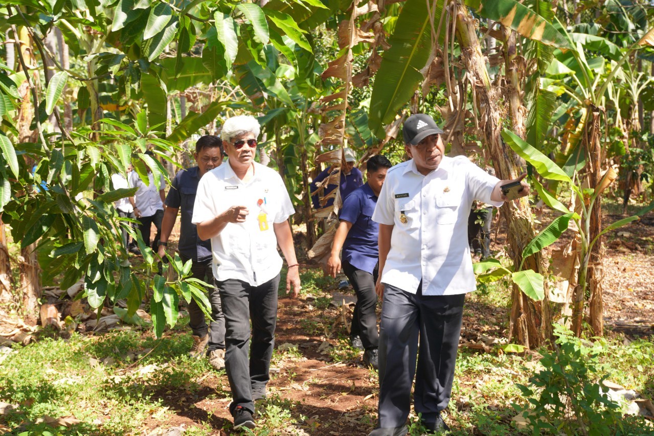 Gemerlap Dimulai dari Lahan yang Siap, Wabup Muhtar Lakukan Peninjauan