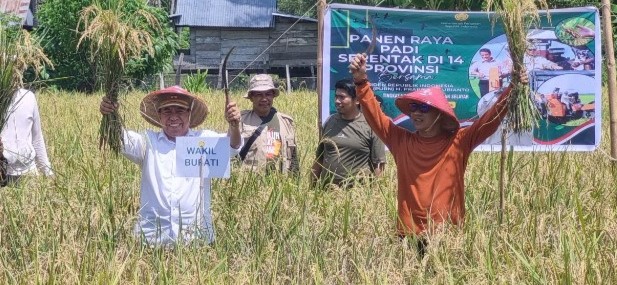 Bupati dan Wakil Bupati Kepulauan Selayar Panen Raya Padi Serentak di Desa Mare-Mare