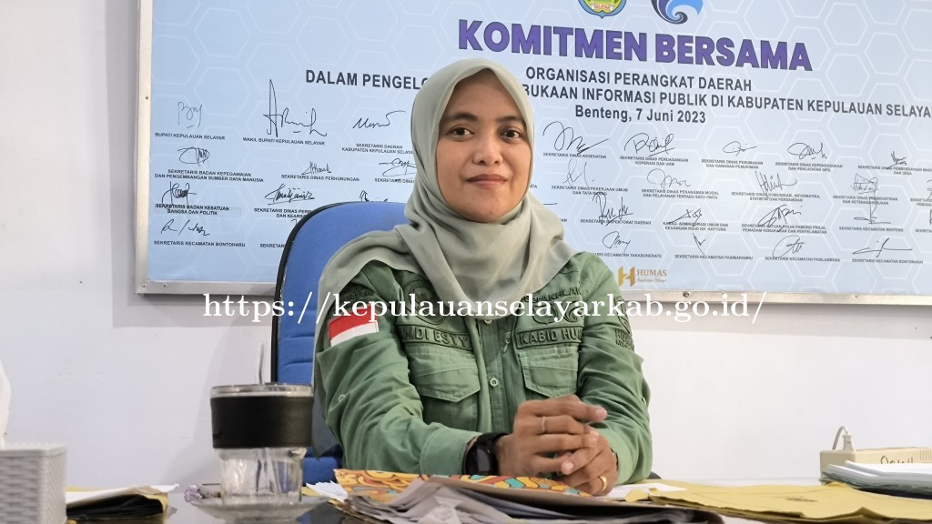 Pemkab Selayar Jelaskan Alokasi Anggaran Listrik yang Dianggap Tinggi