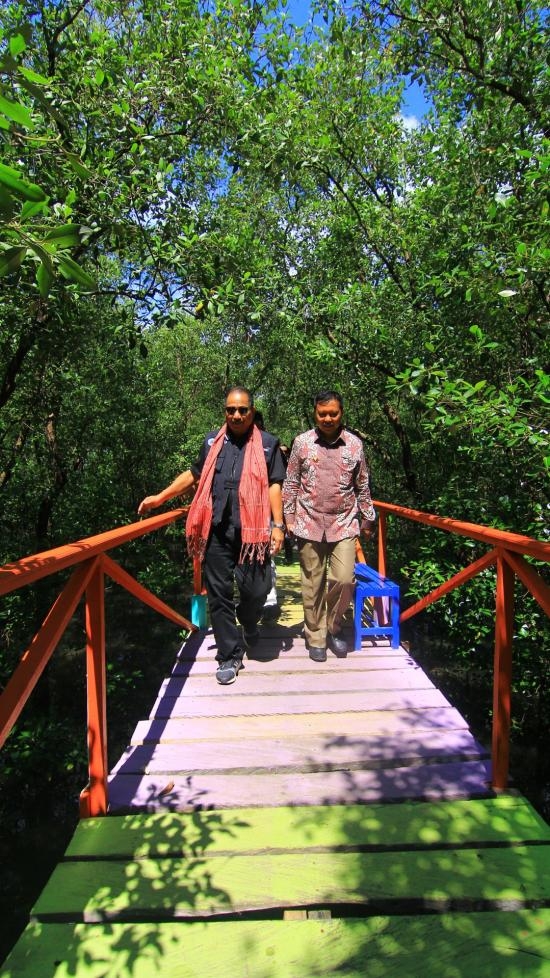 Berkunjung ke Hutan Mangrove